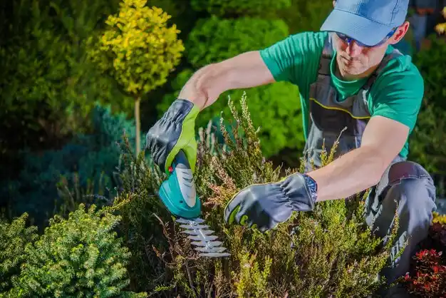 landscaping services Brunswick